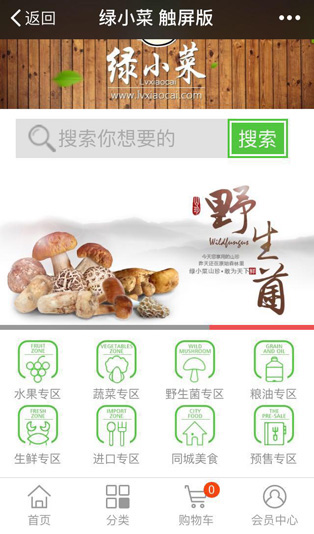 微信網(wǎng)站2